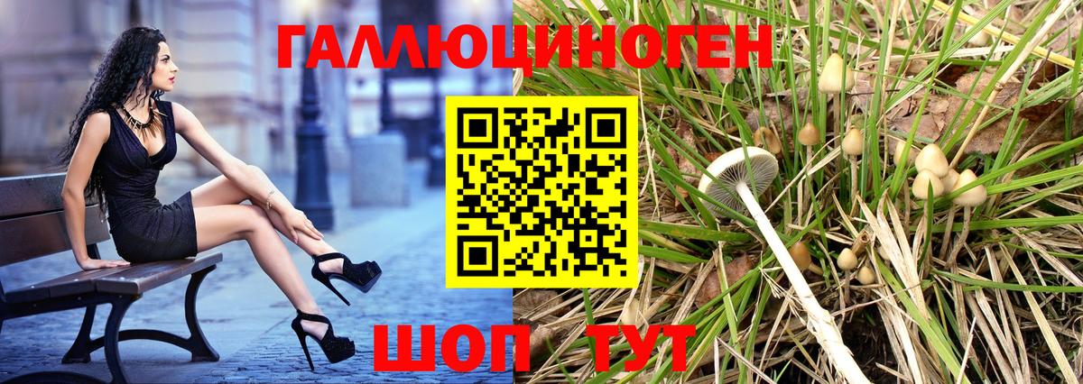 Галлюциногенные грибы прущие грибы Тюмень